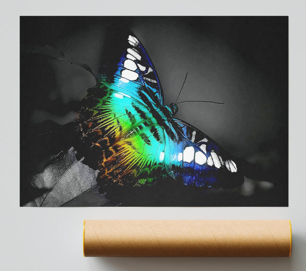 Psychodelic Butterfly Giclee Print