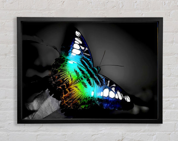 Psychodelic Butterfly Framed Print
