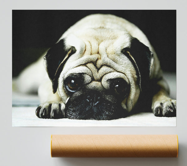 Pug Giclee Print