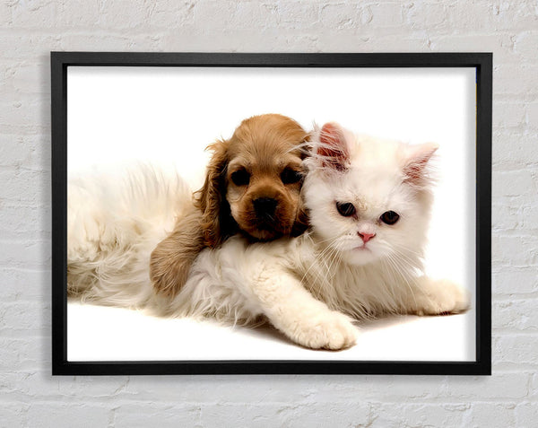 Puppy And Kitten Love Framed Print