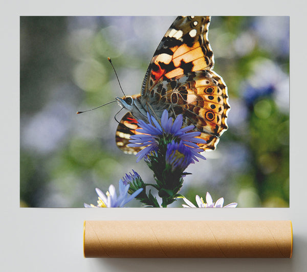 Purple Flower Butterfly Poster