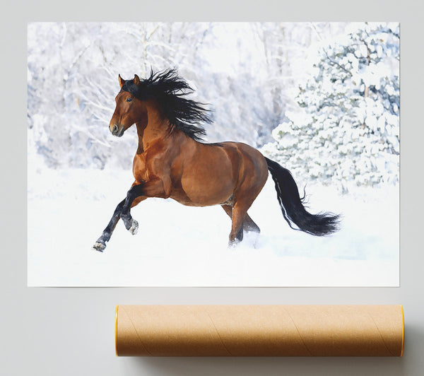 Racing Horse Print