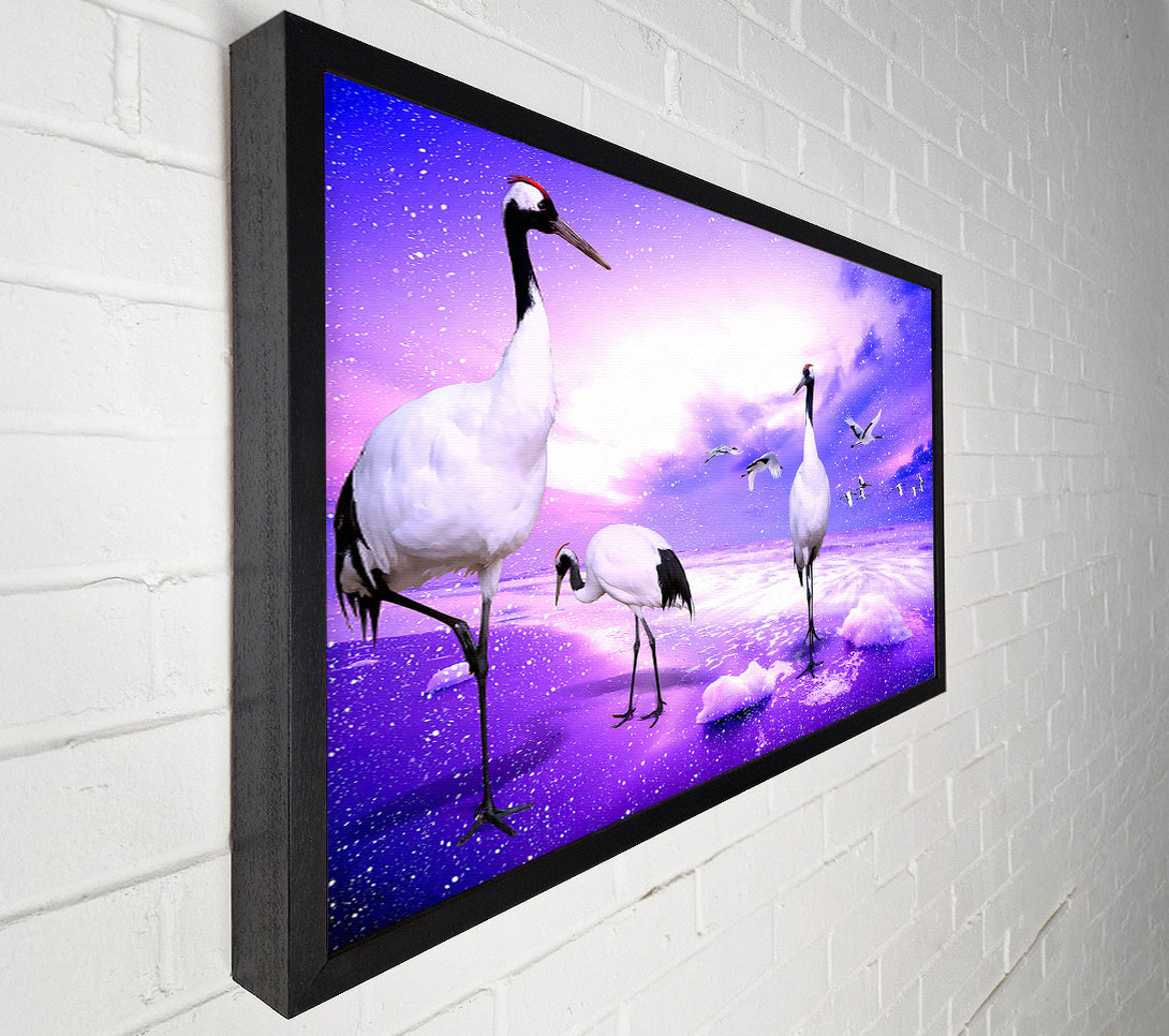 A Canvas Print of Red Crowned Cranes Japan Canvas Print