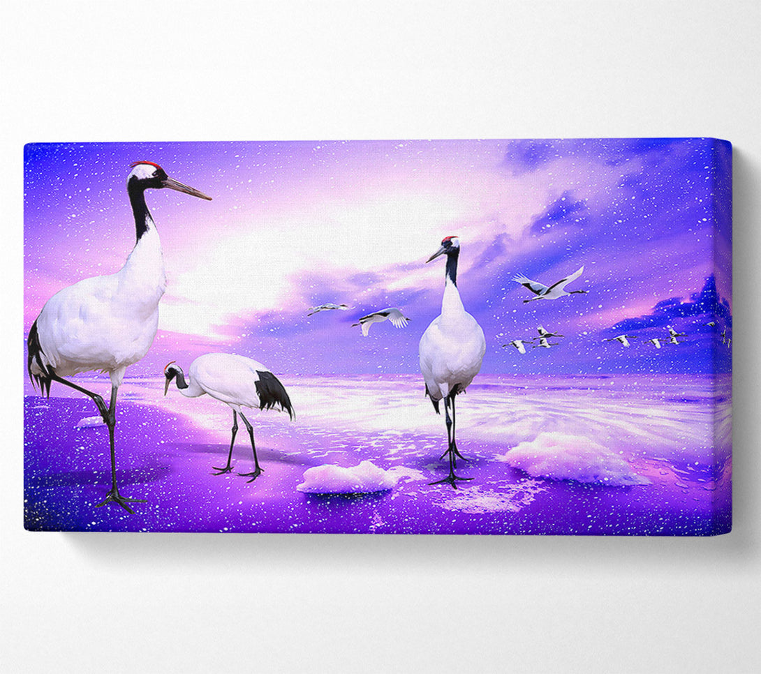  A Canvas Print of Red Crowned Cranes Japan Canvas Print