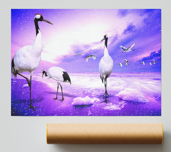Red Crowned Cranes Japan Print