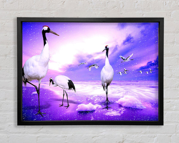 Red Crowned Cranes Japan Framed Print