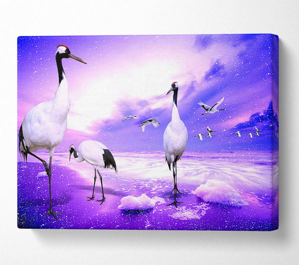  A Canvas Print of Red Crowned Cranes Japan Canvas Print