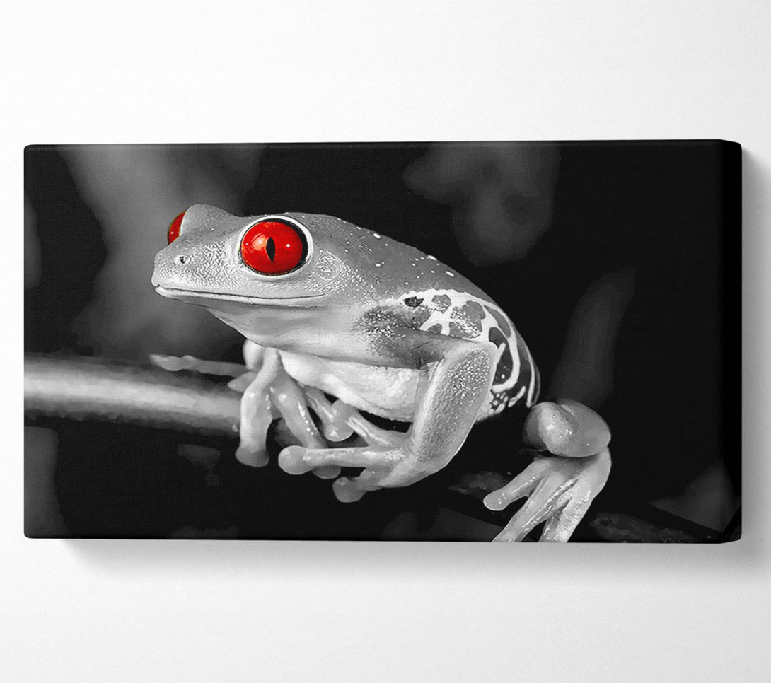  A Canvas Print of Red Eyed Frog Canvas Wall Art