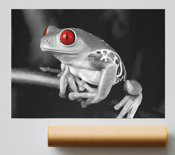 Red Eyed Frog Giclee Print