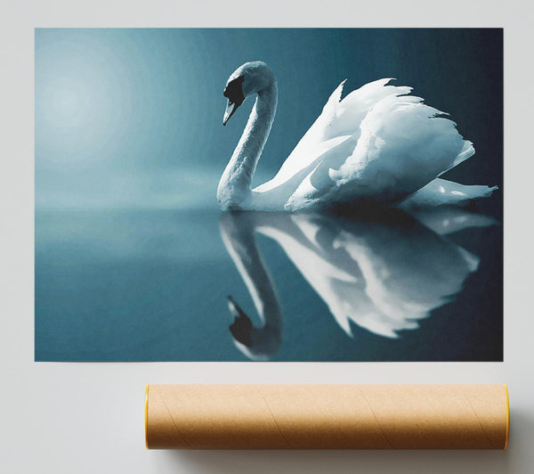 Reflections Of A Swan Giclee Print