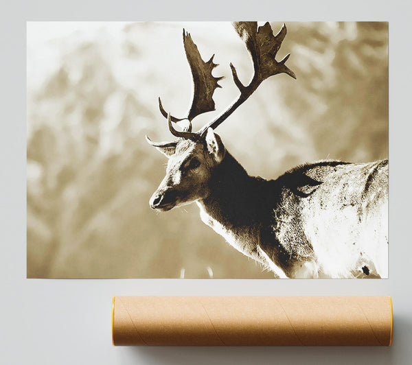 Reindeer Poster