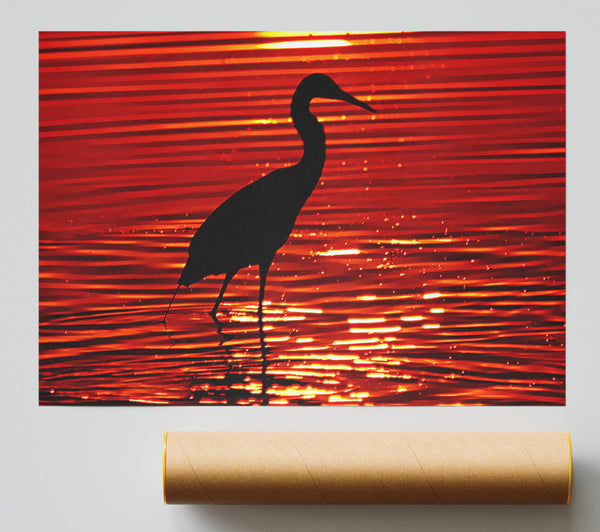 River Bird Poster