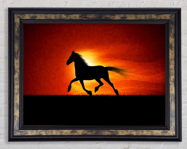 Running Horse Sunset Blaze Framed Print