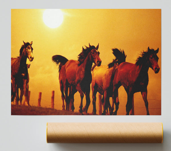 Running Horses At Sunset Giclee Print
