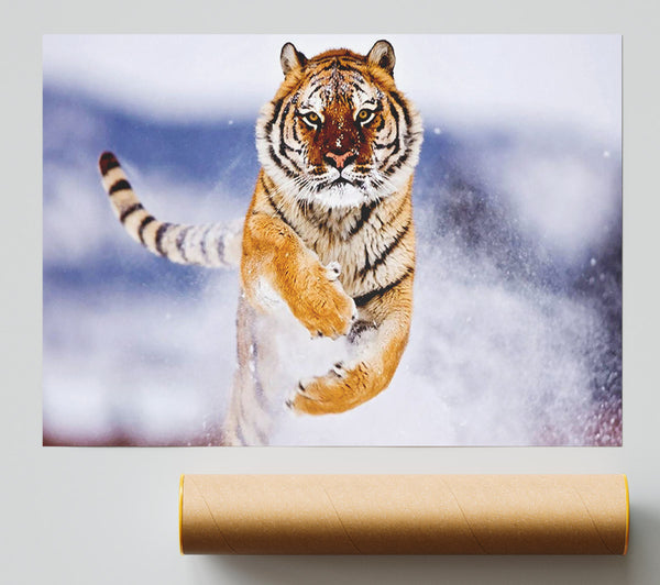 Running Snow Tiger Print