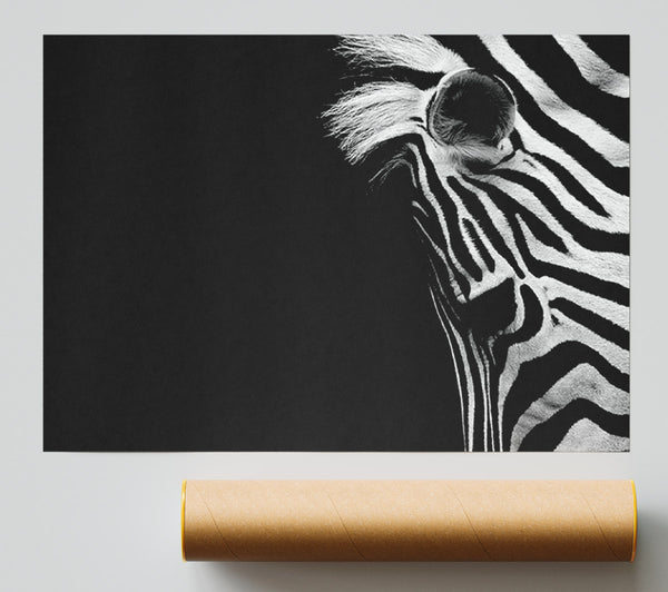 Sad Zebra Giclee Print