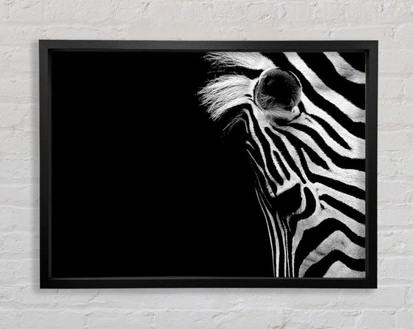Sad Zebra Framed Print