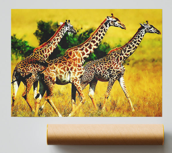Safari Giraffe Poster