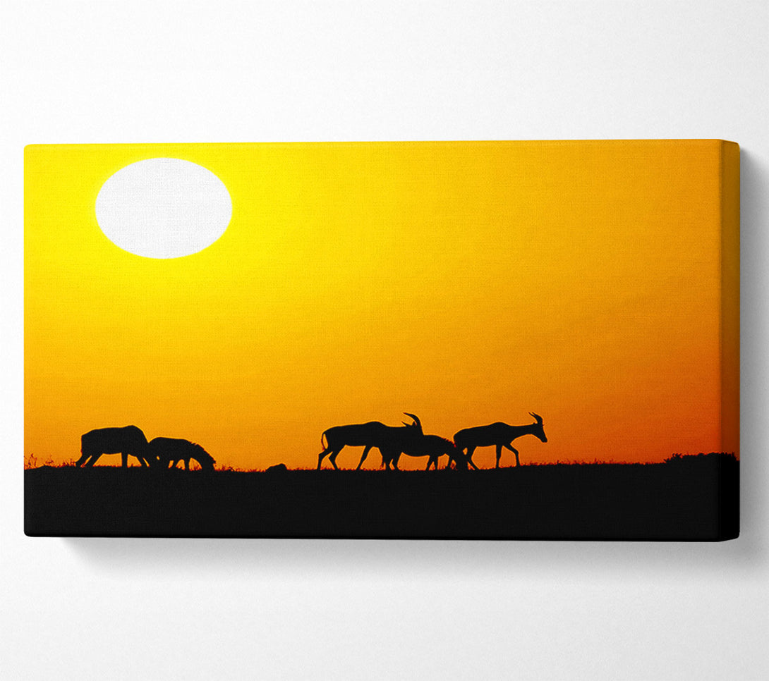  A Canvas Print of Safari Sunset Canvas Art