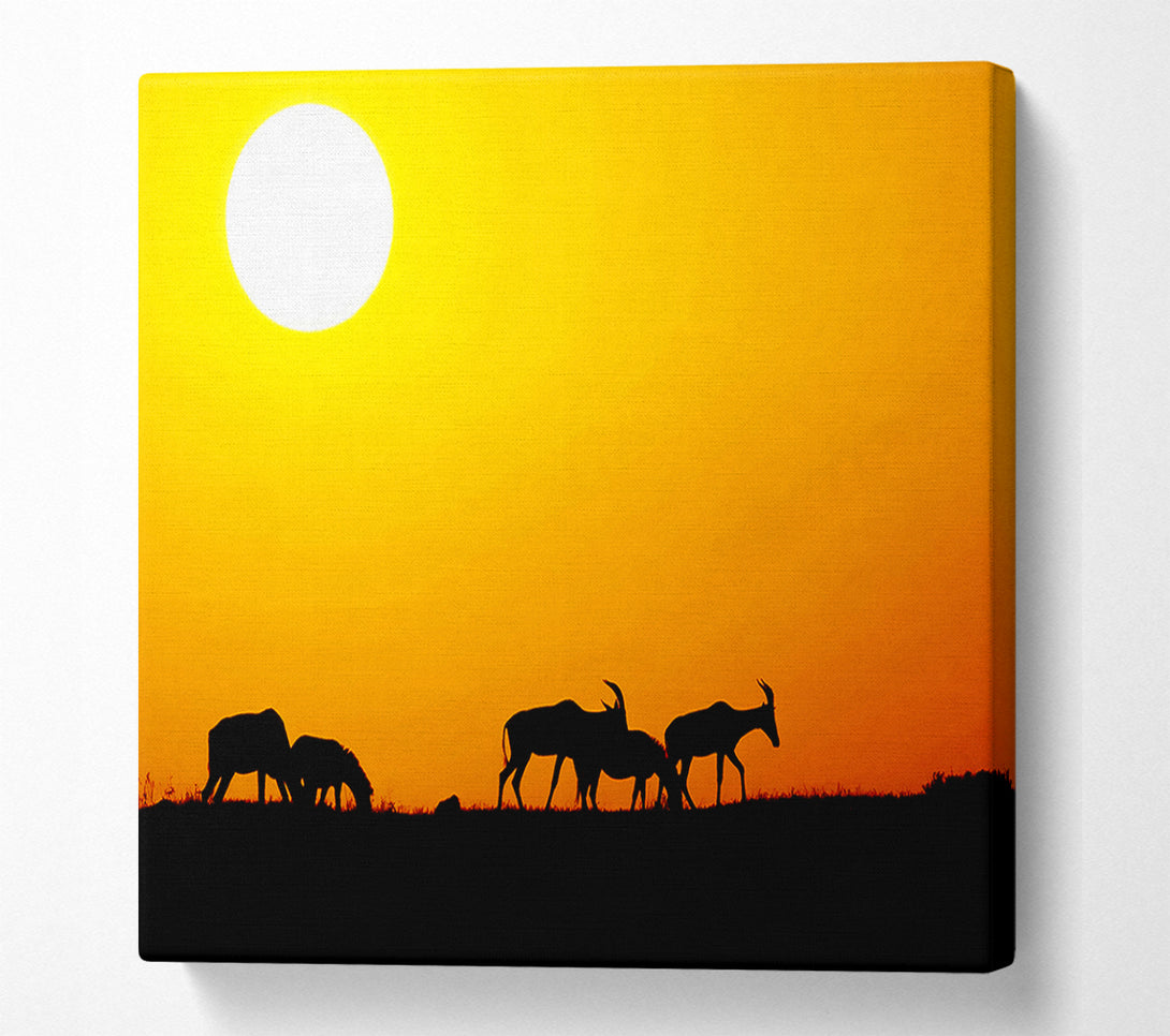  A Canvas Print of Safari Sunset Canvas Art