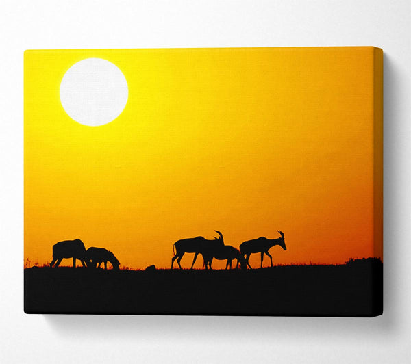 A Canvas Print of Safari Sunset Canvas Art