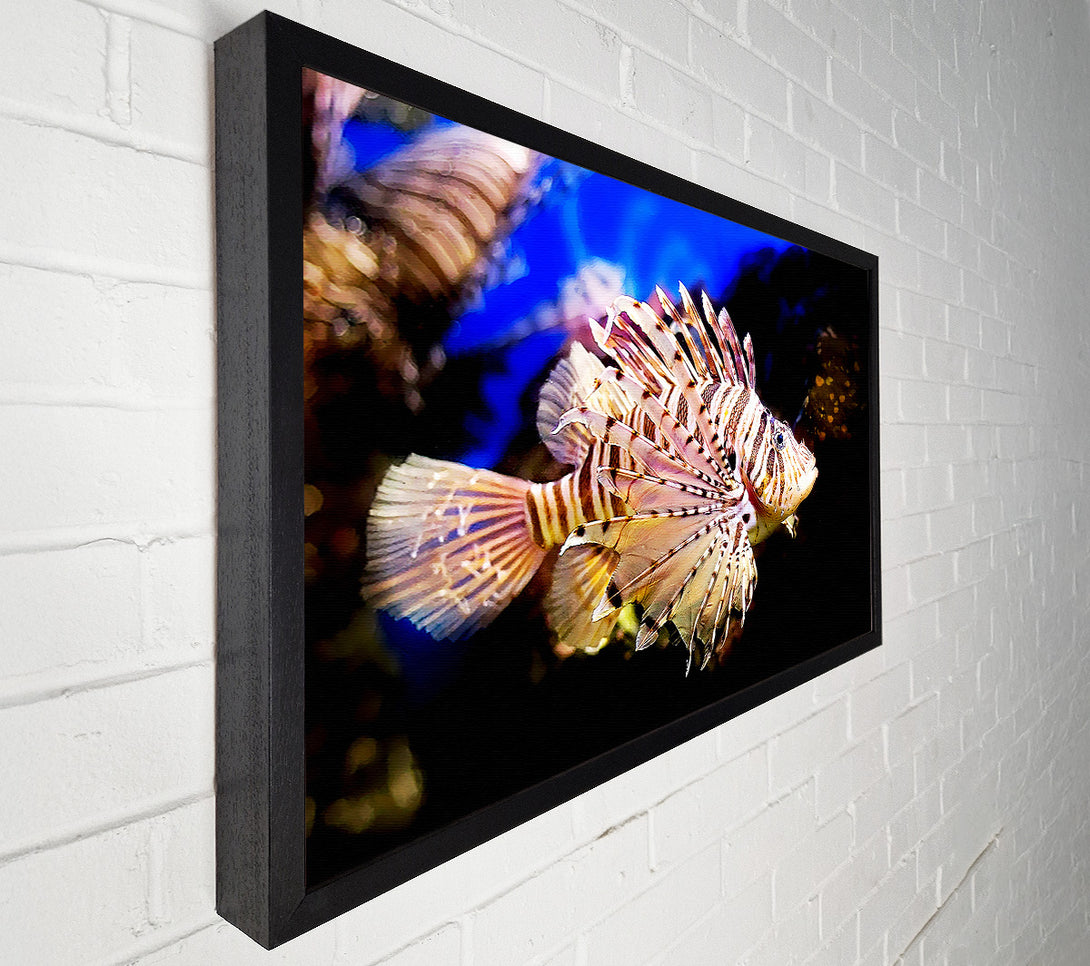  A Canvas Print of Sea Life Canvas Print