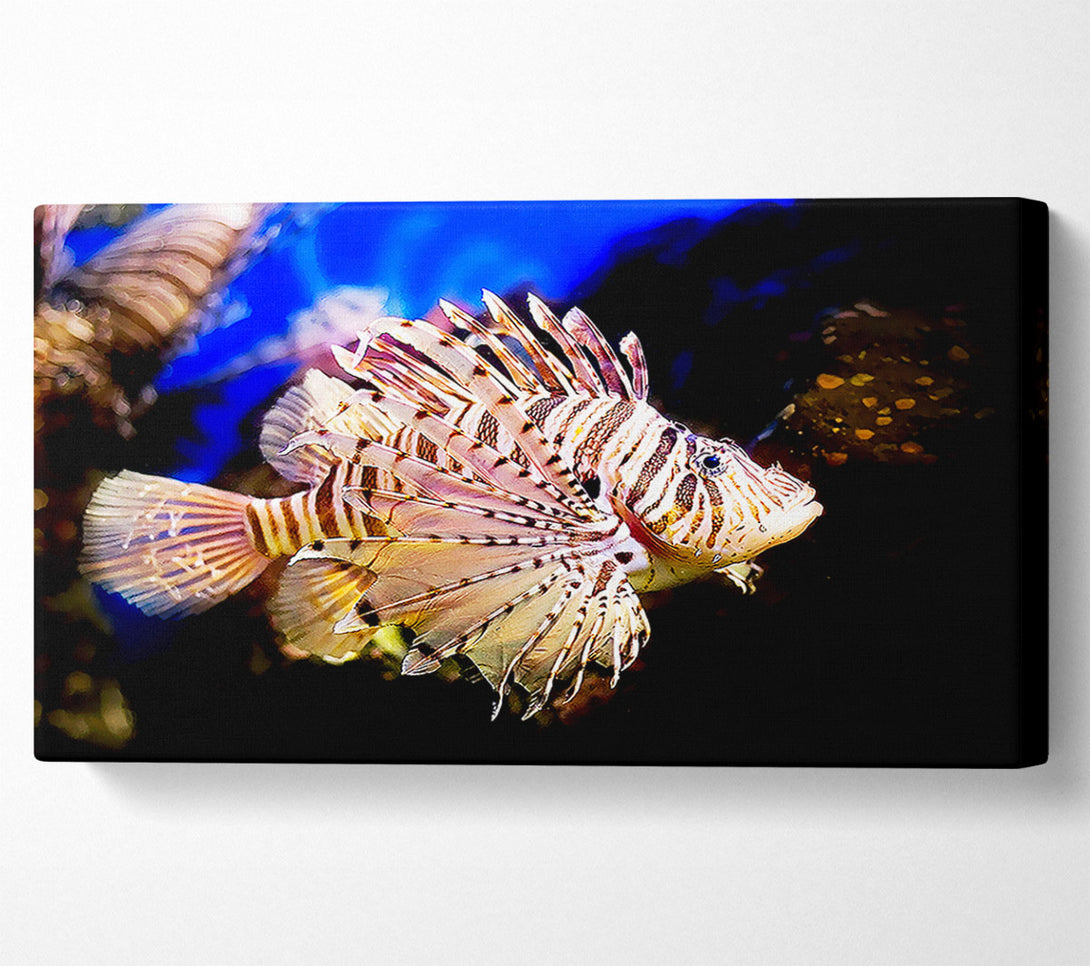  A Canvas Print of Sea Life Canvas Print