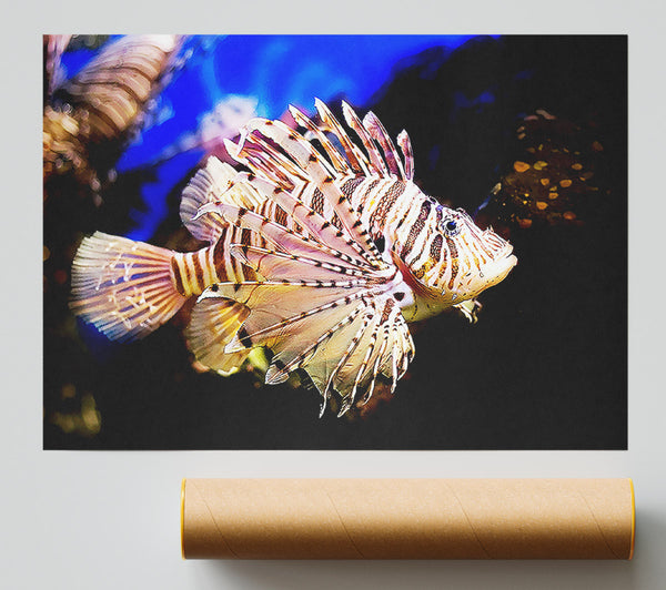 Sea Life Poster