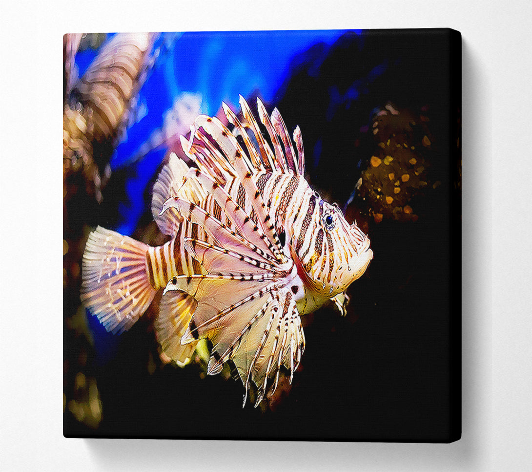  A Canvas Print of Sea Life Canvas Print