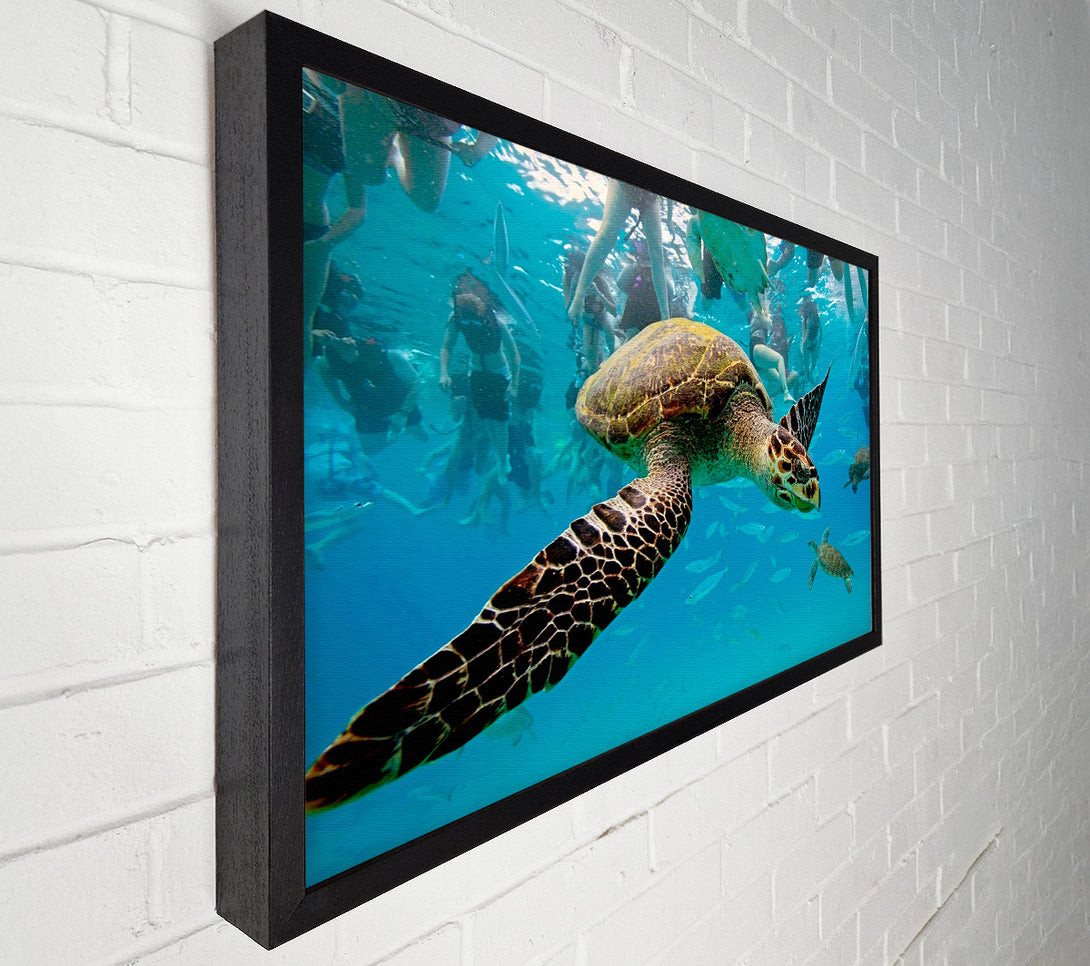  A Canvas Print of Sea Turtle Under Water Canvas Art