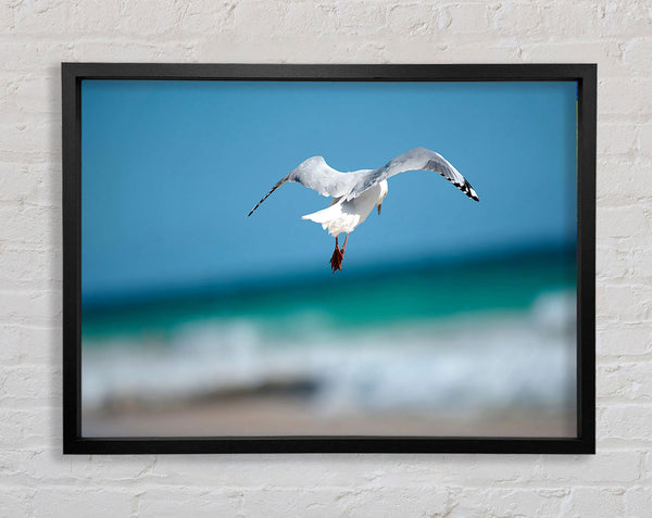 Seagull Over The Ocean Framed Print
