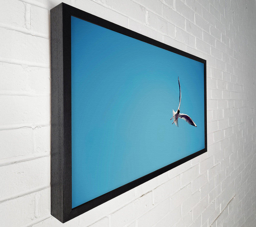  A Canvas Print of Seagull Flight Canvas Art