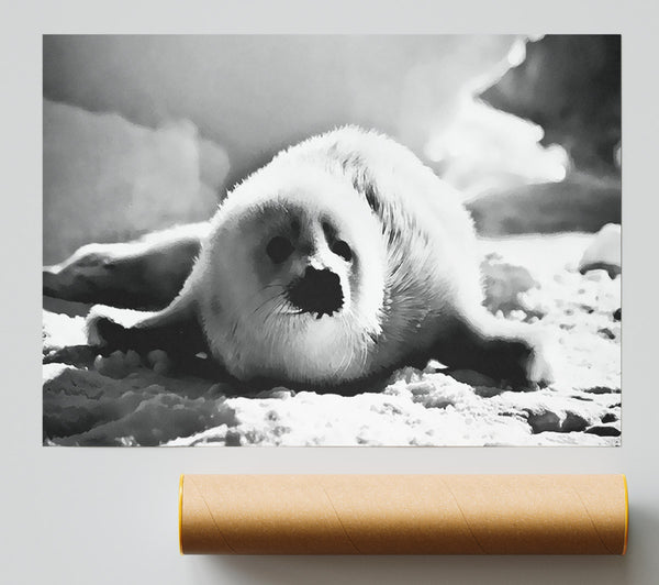 Seal Pup Poster