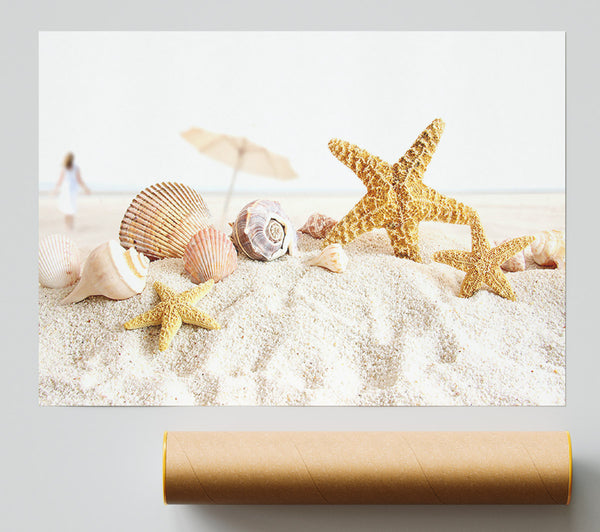 Seashells And Starfish On The Beach Giclee Print