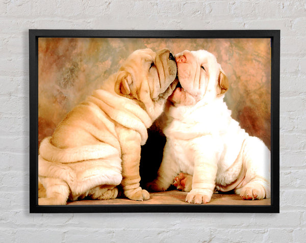 Shar Pei Puppies Framed Print