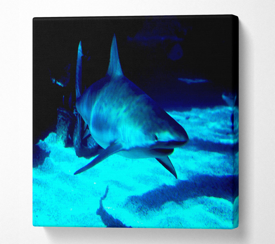  A Canvas Print of Shark Hunt Canvas Art