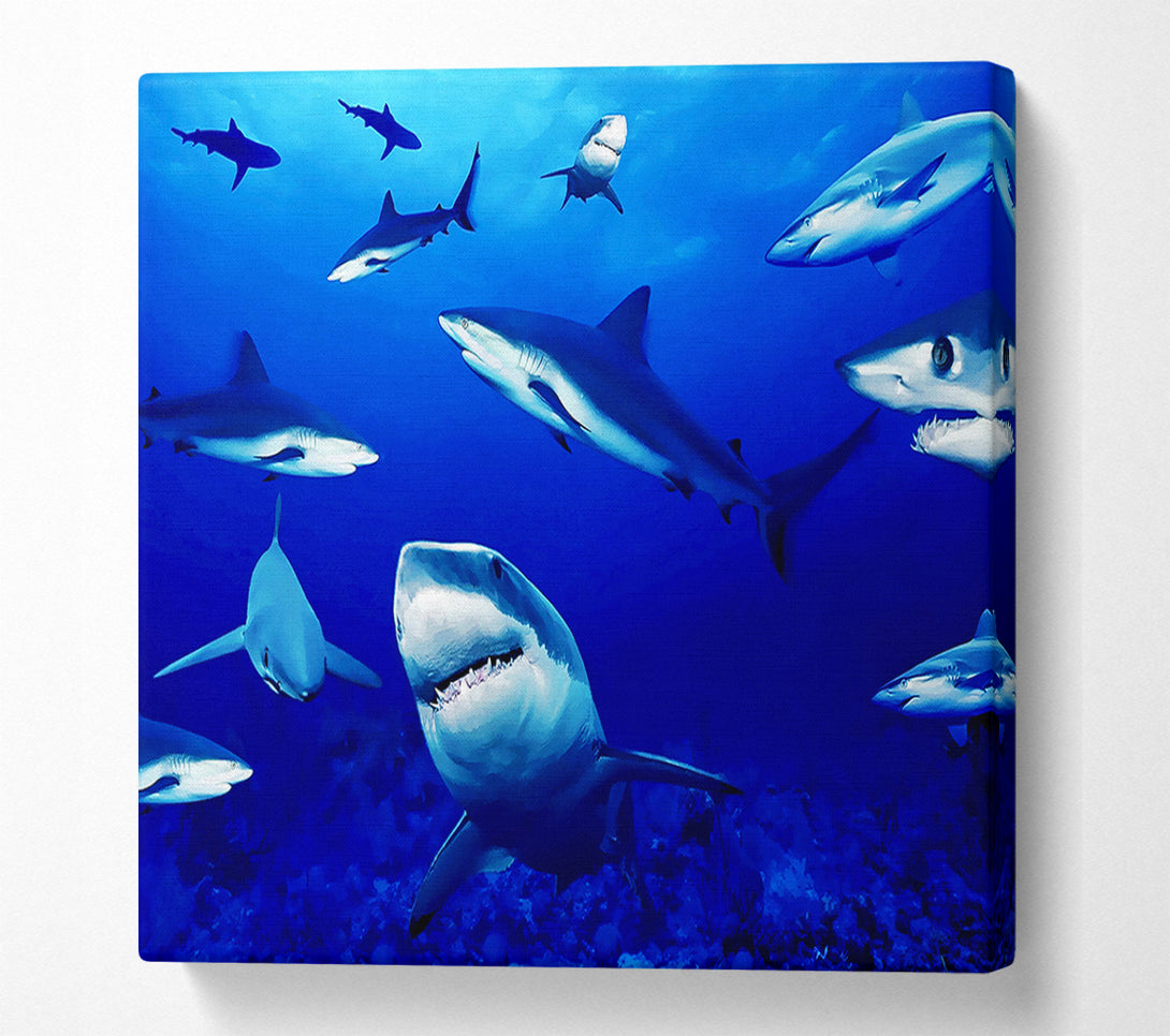  A Canvas Print of Sharks Ocean Canvas Print