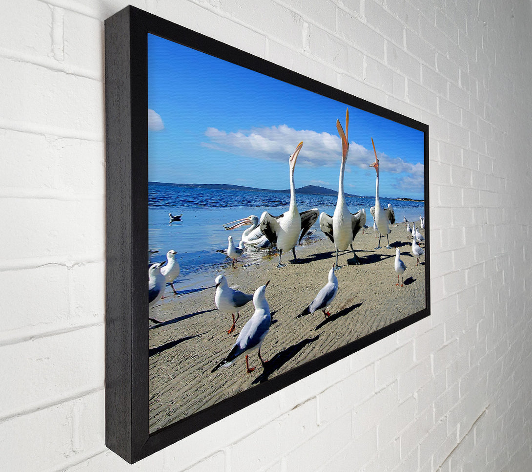  A Canvas Print of Singing Seagulls Canvas Wall Art