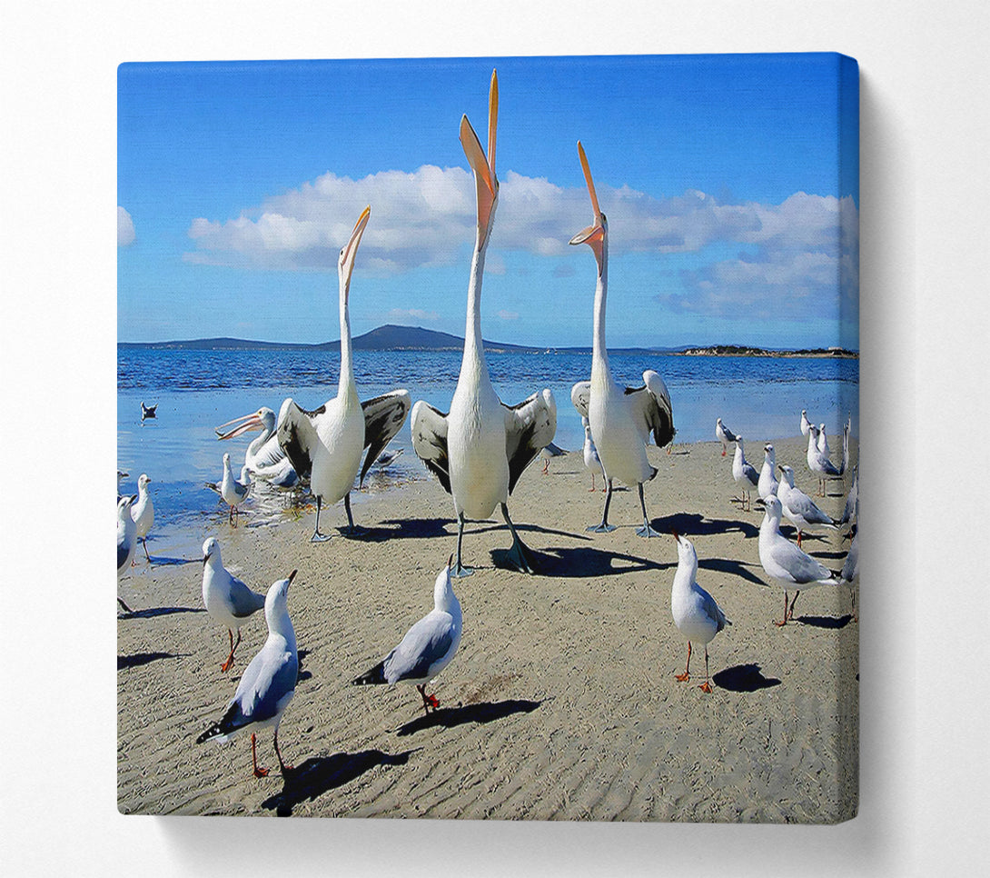  A Canvas Print of Singing Seagulls Canvas Wall Art