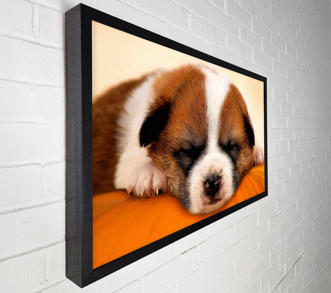  A Canvas Print of Sleeping Puppy Love Canvas Print