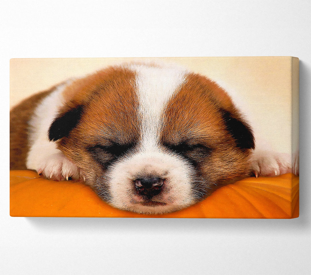  A Canvas Print of Sleeping Puppy Love Canvas Print