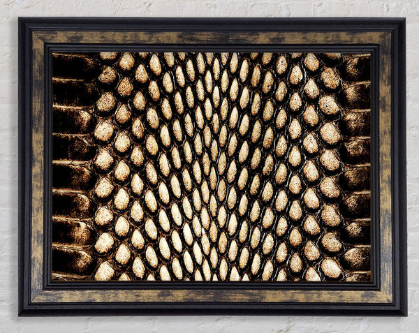 Snake Scales Framed Print