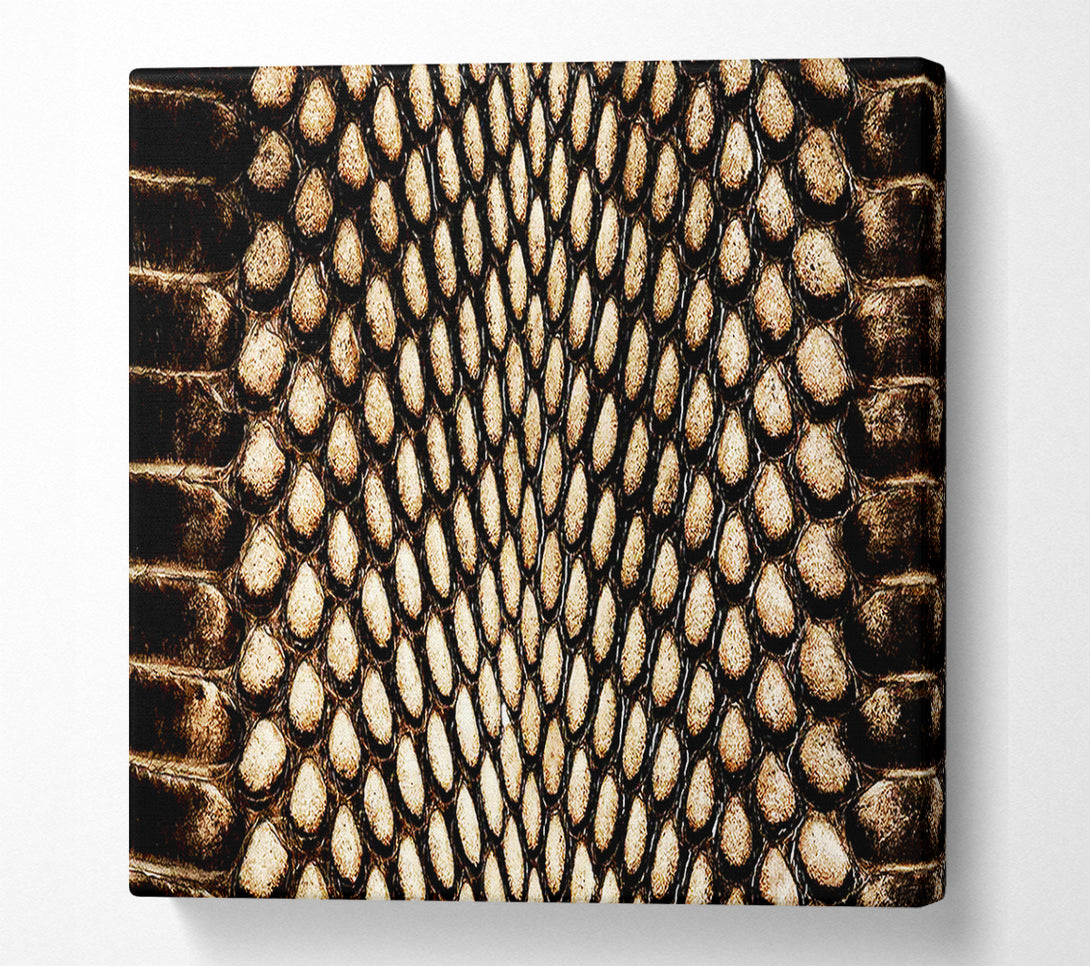  A Canvas Print of Snake Scales Canvas Wall Art