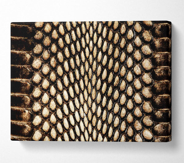  A Canvas Print of Snake Scales Canvas Wall Art