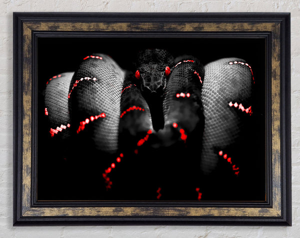 Snake Venom Framed Print