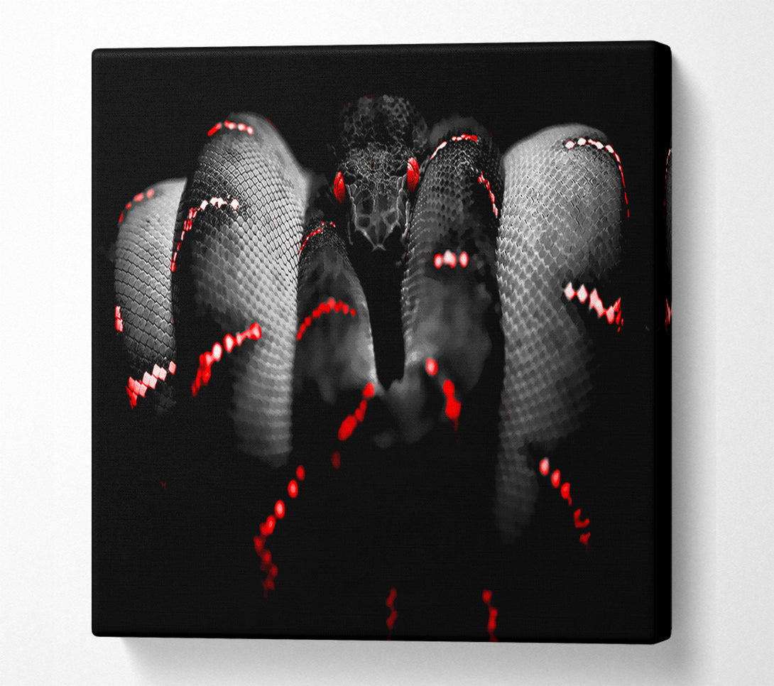  A Canvas Print of Snake Venom Canvas Art