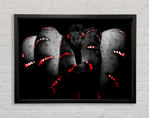 Snake Venom Framed Print