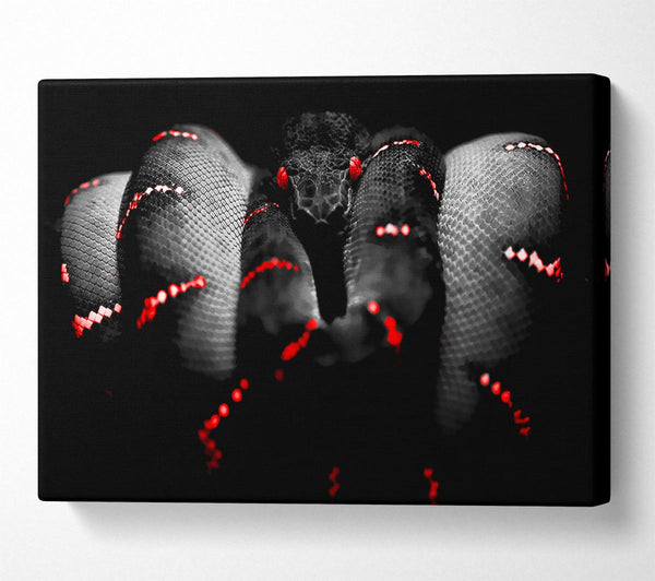  A Canvas Print of Snake Venom Canvas Art