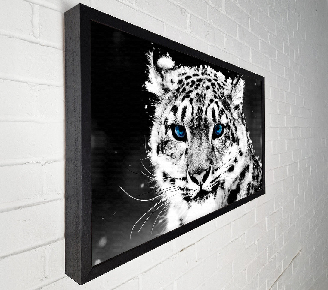  A Canvas Print of Snow Blue Eye Leopard Canvas Wall Art