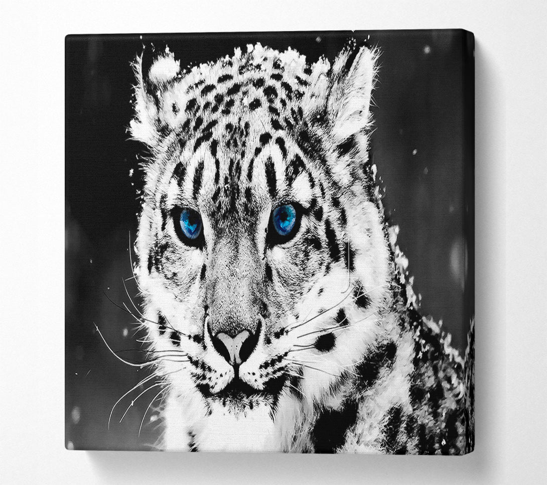  A Canvas Print of Snow Blue Eye Leopard Canvas Wall Art